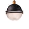 Maxim Lighting Portside 1-Light 11.75" Wide Bronze / Antique Brass Pendant Light 10187OIAB - alternate 2